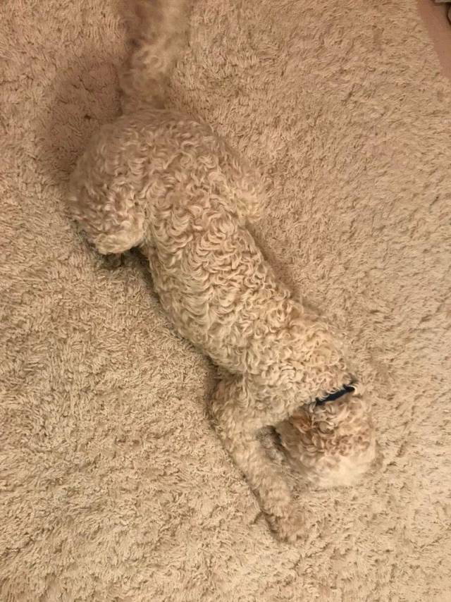 daily picdump 110 pics 13.html - 110 HD Photos | Premium Gallery 2018