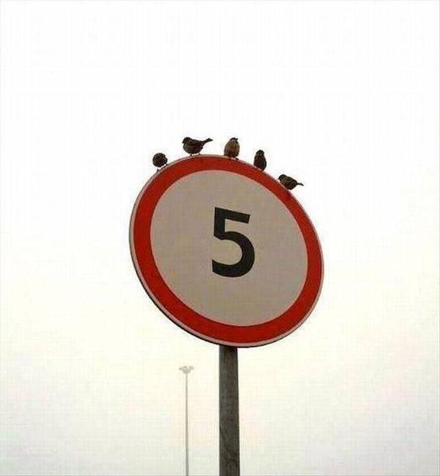 daily picdump 110 pics 13.html - 110 HD Photos | Premium Gallery 2018