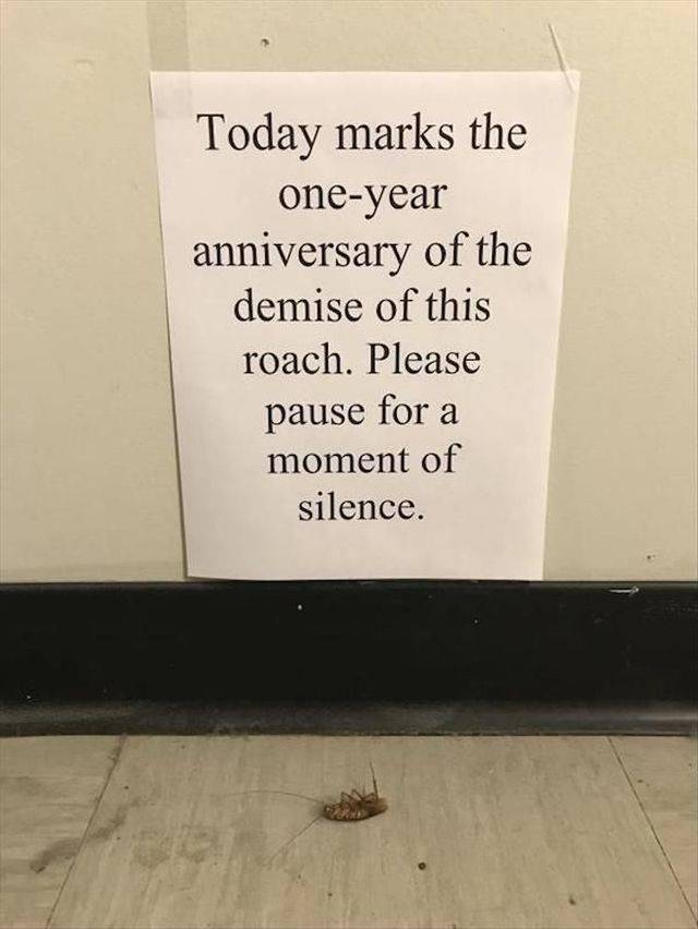 daily picdump 110 pics 13.html - 110 HD Photos | Premium Gallery 2018