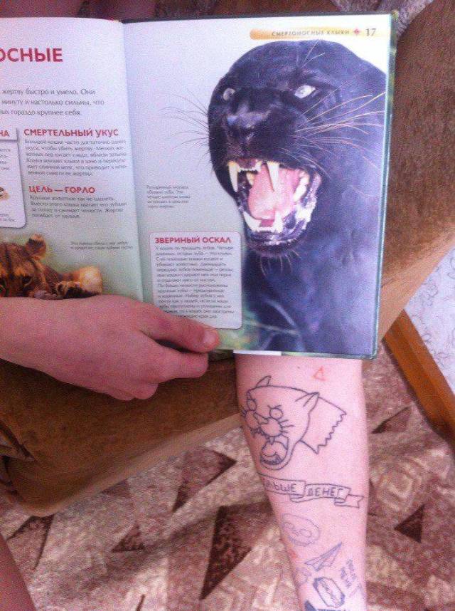 daily picdump 110 pics 13.html - 110 HD Photos | Premium Gallery 2018