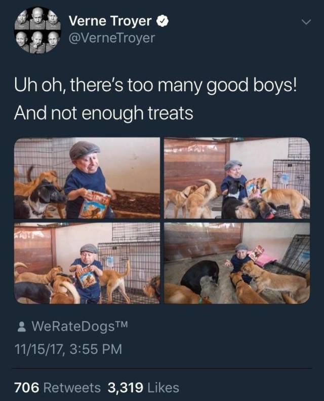 Memes to Amuse Your Tired Mind