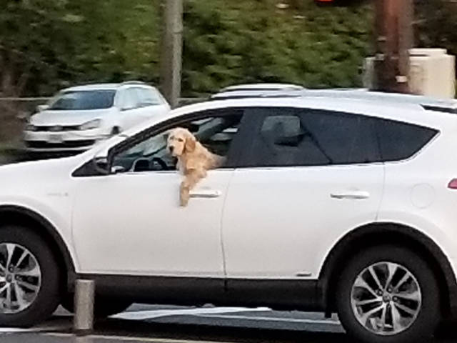 morning picdump 51 pics 17.html - 51 HD Photos | Premium Gallery 2018