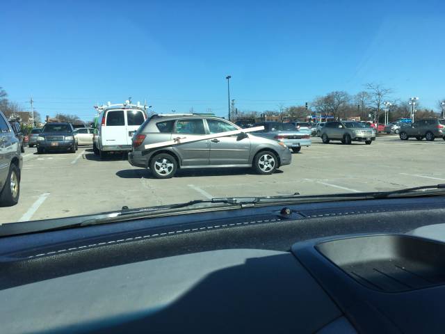 morning picdump 51 pics 17.html - 51 HD Photos | Premium Gallery 2018