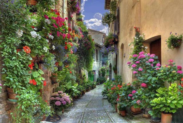 morning picdump 51 pics 17.html - 51 HD Photos | Premium Gallery 2018