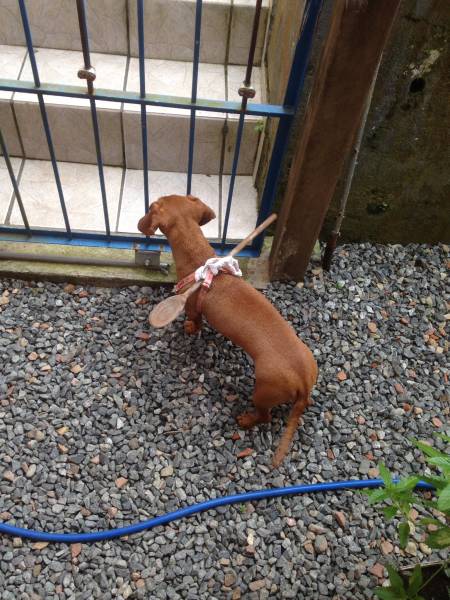 morning picdump 51 pics 17.html - 51 HD Photos | Premium Gallery 2018