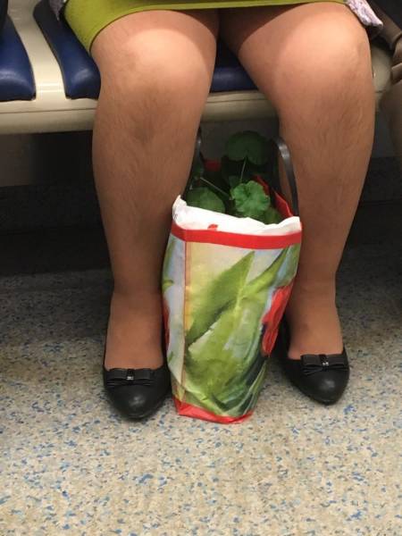 morning picdump 51 pics 17.html - 51 HD Photos | Premium Gallery 2018