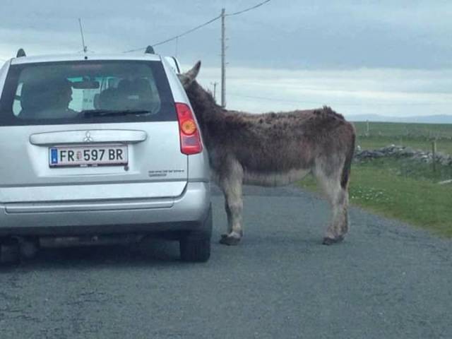 morning picdump 51 pics 17.html - 51 HD Photos | Premium Gallery 2018