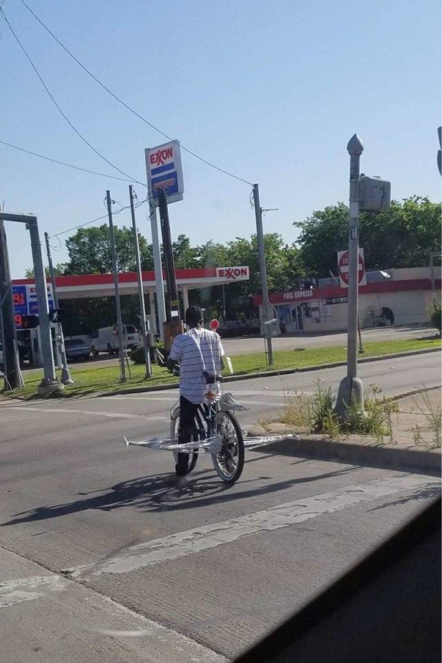 morning picdump 51 pics 17.html - 51 HD Photos | Premium Gallery 2018