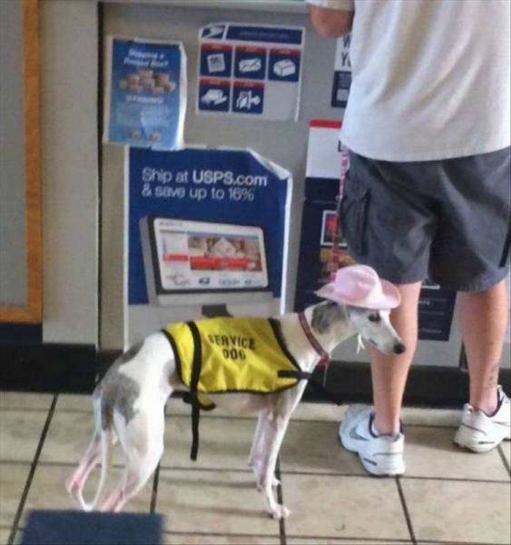 morning picdump 50 pics 12.html - 50 HD Photos | Premium Gallery 2018