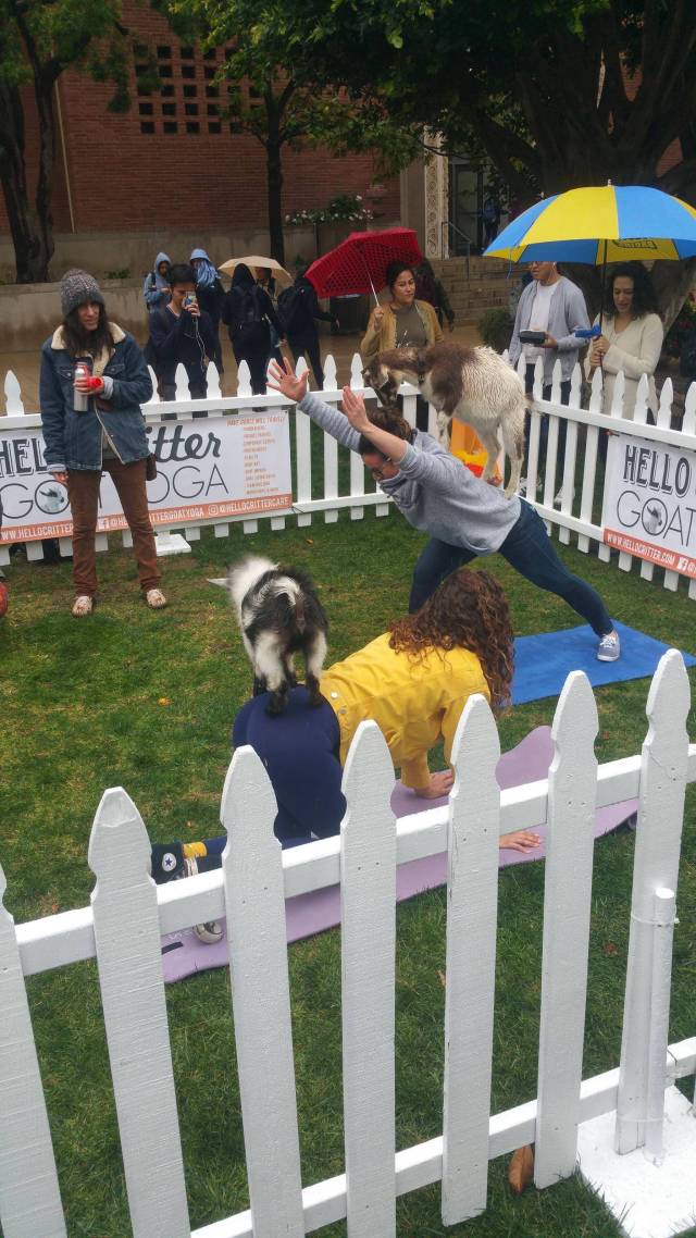 morning picdump 50 pics 12.html - 50 HD Photos | Premium Gallery 2018