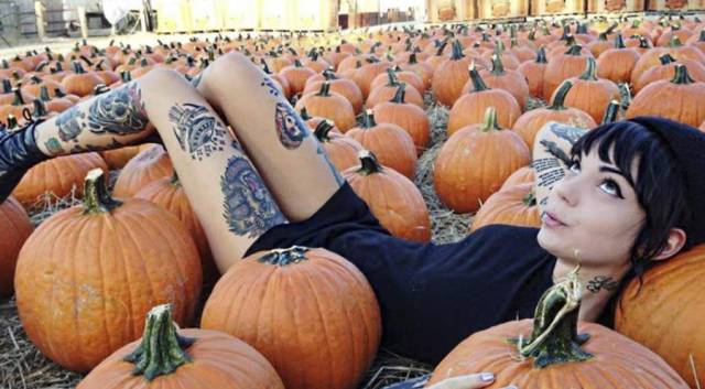 daily picdump 100 pics 27.html - 100 HD Photos | Premium Gallery 2018