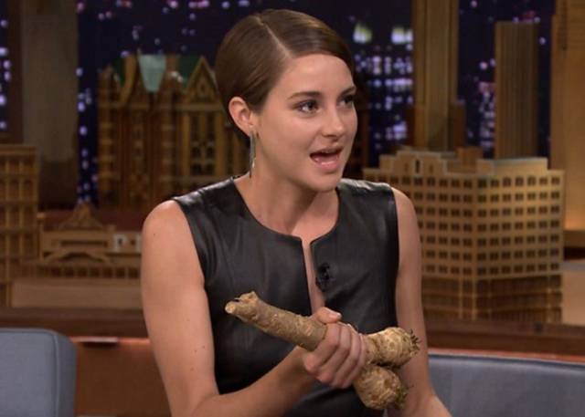 daily picdump 100 pics 27.html - 100 HD Photos | Premium Gallery 2018