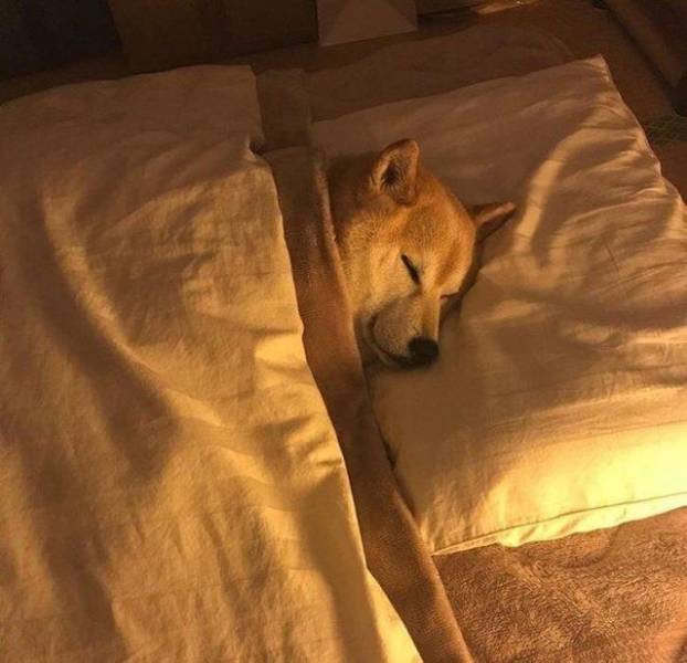 daily picdump 100 pics 27.html - 100 HD Photos | Premium Gallery 2018