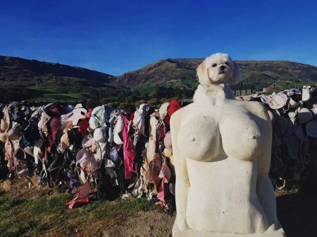 daily picdump 100 pics 27.html - 100 HD Photos | Premium Gallery 2018