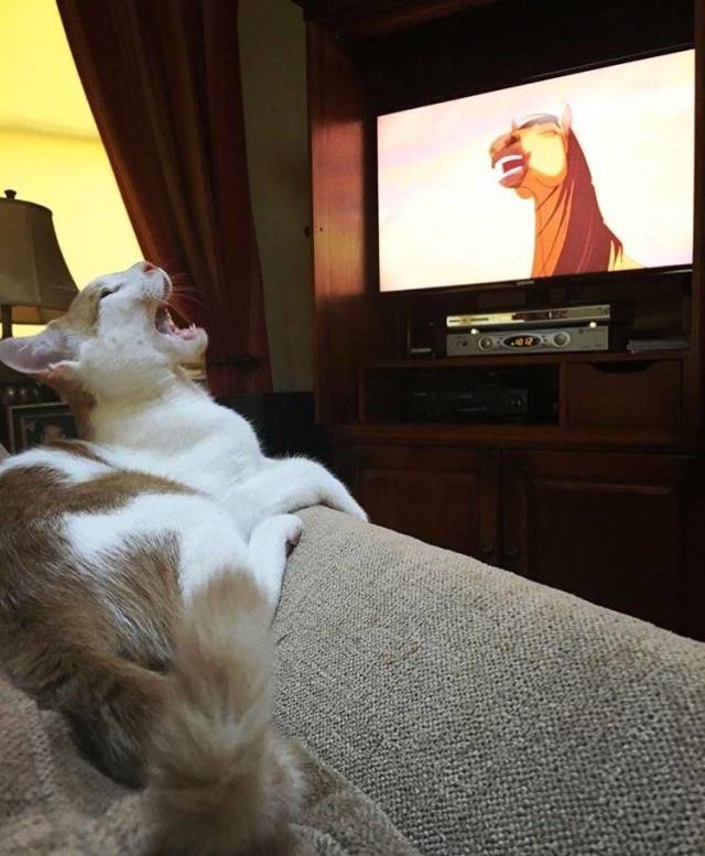 daily picdump 100 pics 27.html - 100 HD Photos | Premium Gallery 2018