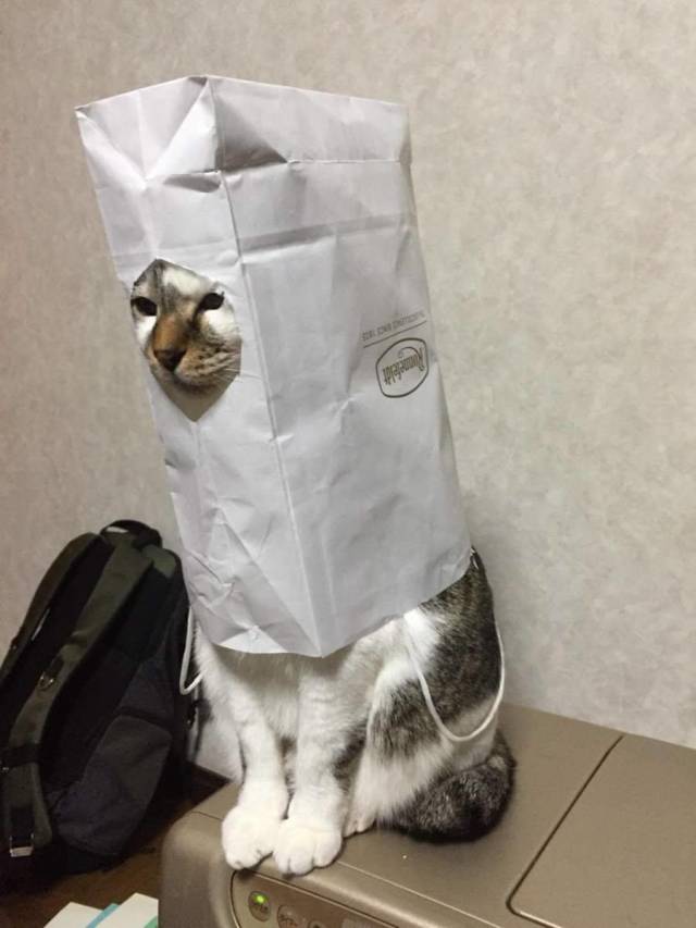 daily picdump 100 pics 27.html - 100 HD Photos | Premium Gallery 2018