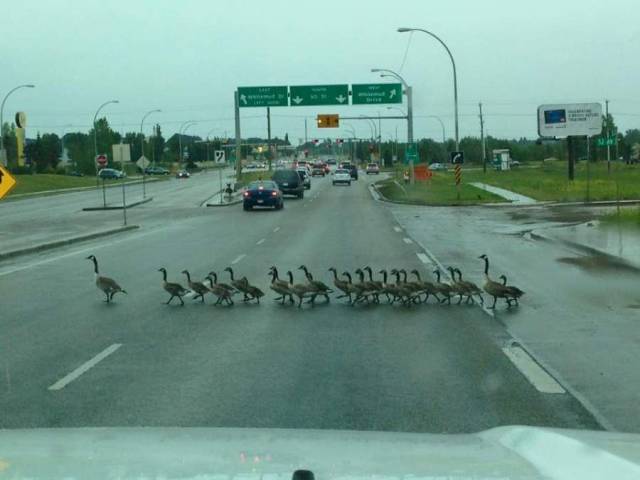 daily picdump 97 pics 34.html - 97 HD Photos | Premium Gallery 2018