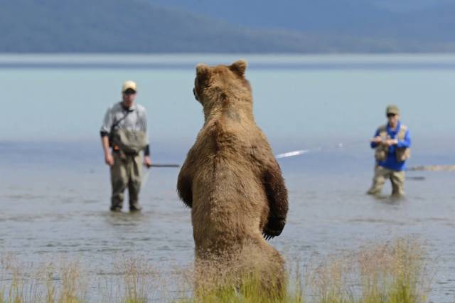 daily picdump 97 pics 34.html - 97 HD Photos | Premium Gallery 2018