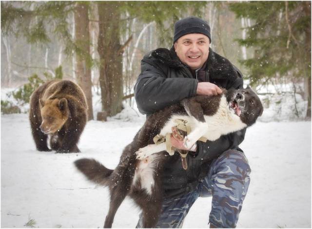 daily picdump 97 pics 34.html - 97 HD Photos | Premium Gallery 2018