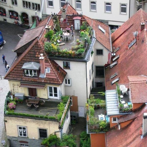 daily picdump 97 pics 34.html - 97 HD Photos | Premium Gallery 2018