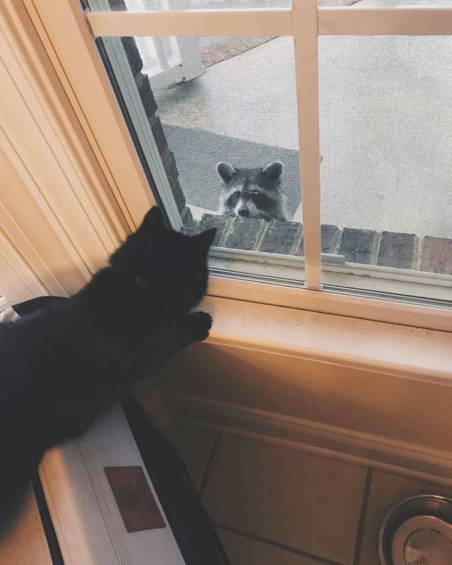 daily picdump 97 pics 34.html - 97 HD Photos | Premium Gallery 2018