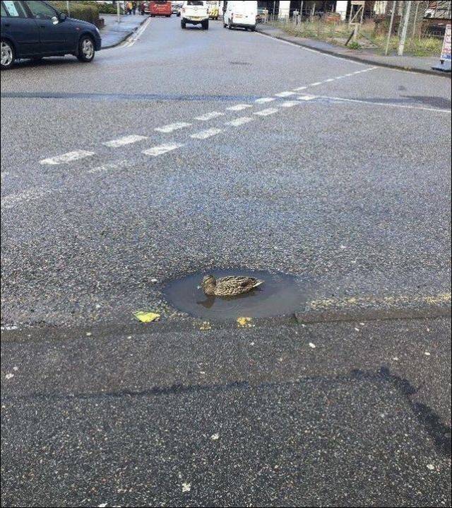 daily picdump 97 pics 34.html - 97 HD Photos | Premium Gallery 2018