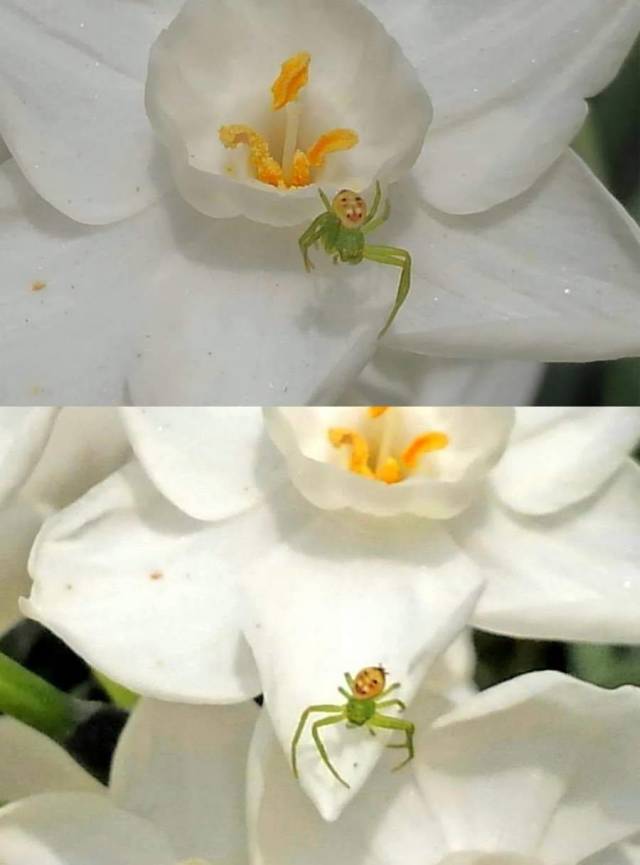 daily picdump 97 pics 34.html - 97 HD Photos | Premium Gallery 2018