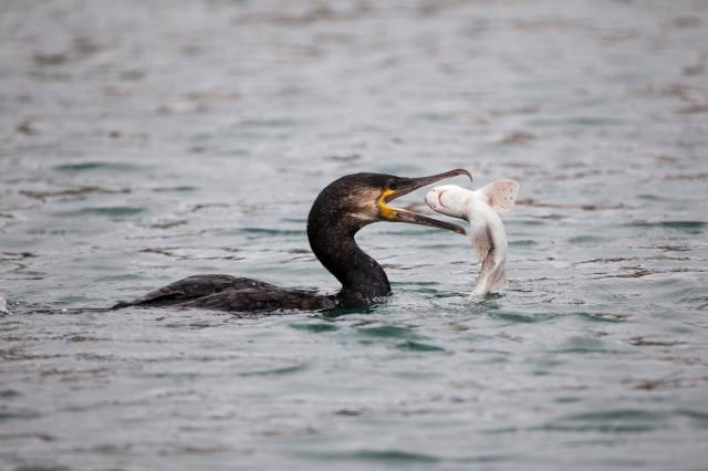 morning picdump 54 pics 3.html - 54 HD Photos | Premium Gallery 2018