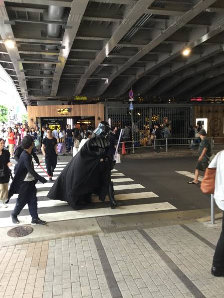 morning picdump 54 pics 3.html - 54 HD Photos | Premium Gallery 2018