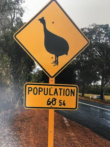 morning picdump 54 pics 3.html - 54 HD Photos | Premium Gallery 2018