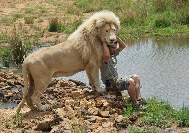 daily picdump 94 pics 29.html - 94 HD Photos | Premium Gallery 2018