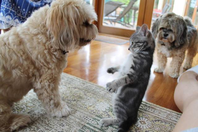 daily picdump 94 pics 29.html - 94 HD Photos | Premium Gallery 2018