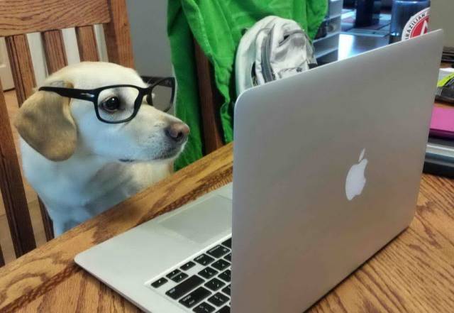 daily picdump 94 pics 29.html - 94 HD Photos | Premium Gallery 2018