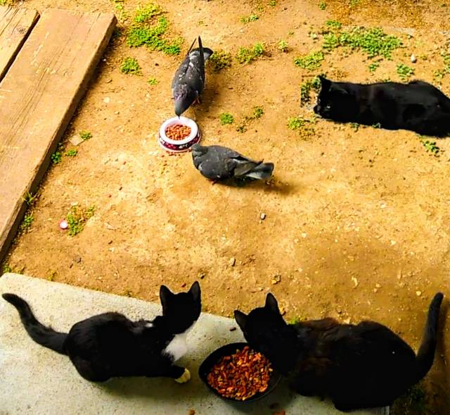 daily picdump 94 pics 29.html - 94 HD Photos | Premium Gallery 2018