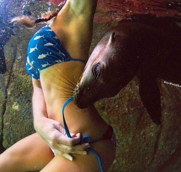 daily picdump 94 pics 29.html - 94 HD Photos | Premium Gallery 2018