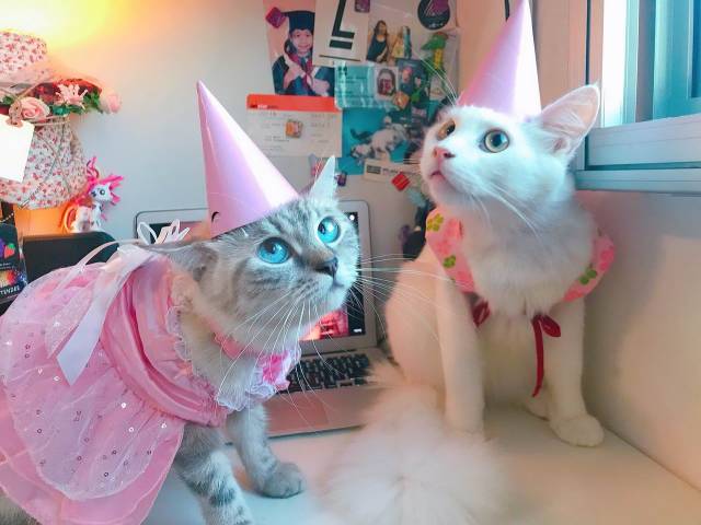 daily picdump 94 pics 29.html - 94 HD Photos | Premium Gallery 2018