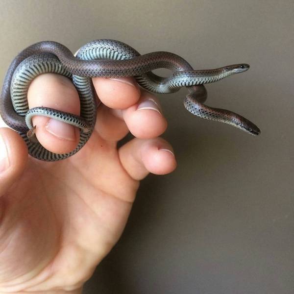 daily picdump 94 pics 29.html - 94 HD Photos | Premium Gallery 2018