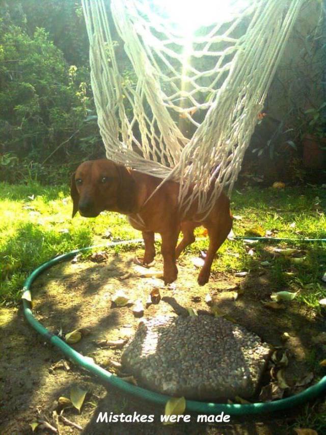 daily picdump 94 pics 29.html - 94 HD Photos | Premium Gallery 2018