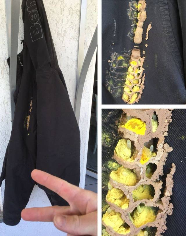 daily picdump 94 pics 29.html - 94 HD Photos | Premium Gallery 2018