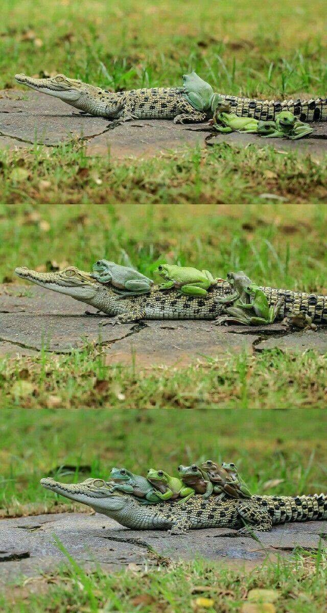 daily picdump 94 pics 29.html - 94 HD Photos | Premium Gallery 2018