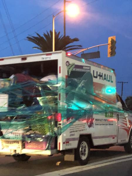 morning picdump 50 pics 15.html - 50 HD Photos | Premium Gallery 2018