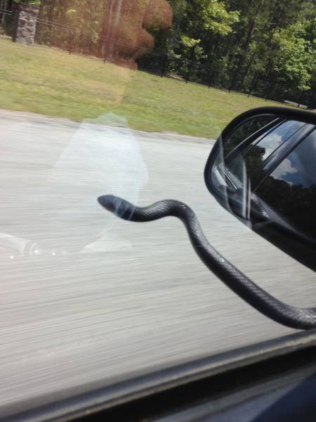 morning picdump 50 pics 15.html - 50 HD Photos | Premium Gallery 2018