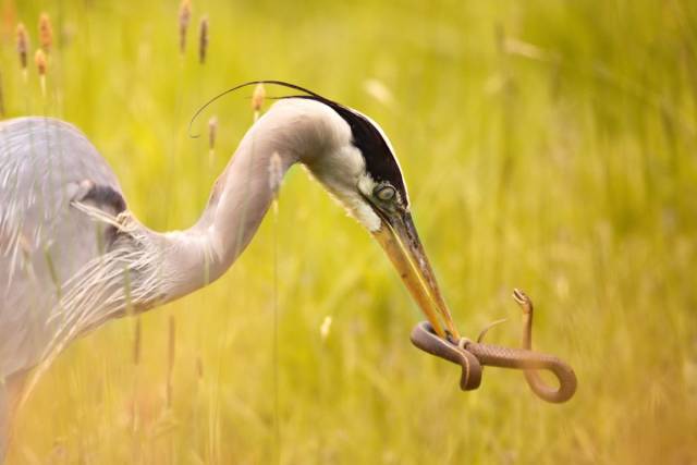 daily picdump 90 pics 40.html - 90 HD Photos | Premium Gallery 2018