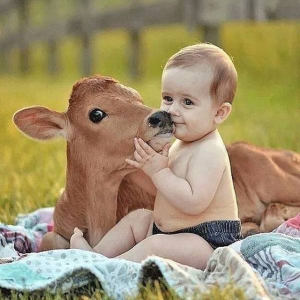 daily picdump 90 pics 40.html - 90 HD Photos | Premium Gallery 2018