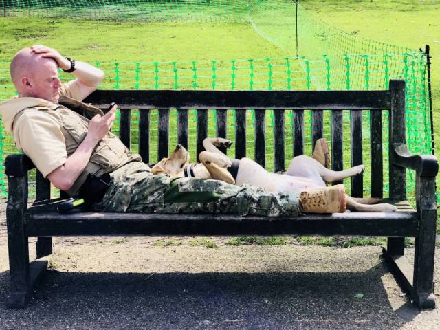 daily picdump 90 pics 40.html - 90 HD Photos | Premium Gallery 2018