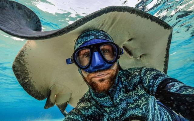 daily picdump 90 pics 40.html - 90 HD Photos | Premium Gallery 2018