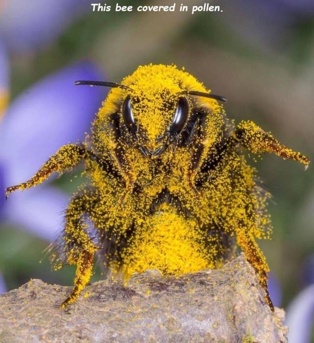 daily picdump 90 pics 40.html - 90 HD Photos | Premium Gallery 2018