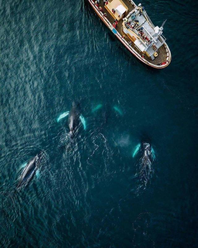 daily picdump 90 pics 40.html - 90 HD Photos | Premium Gallery 2018