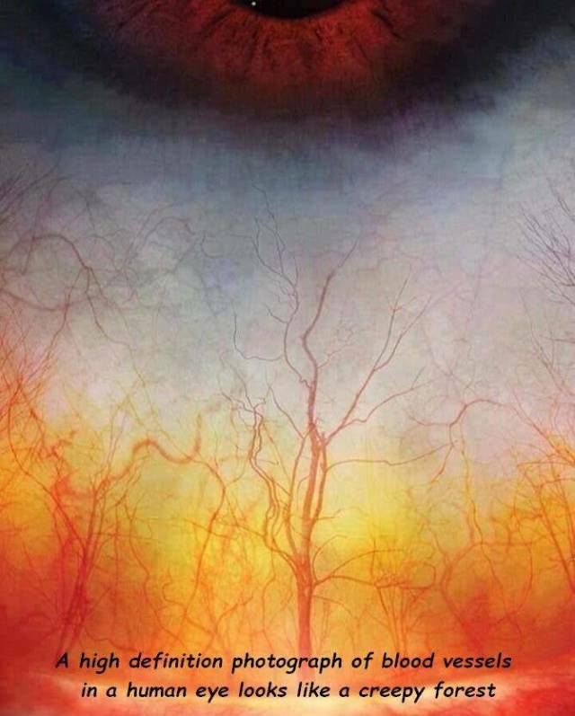 daily picdump 90 pics 40.html - 90 HD Photos | Premium Gallery 2018