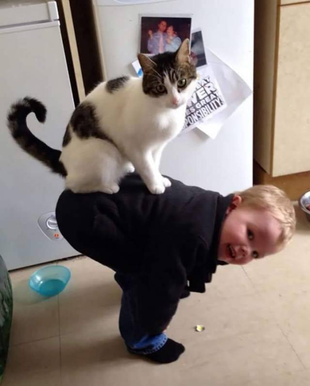 daily picdump 90 pics 40.html - 90 HD Photos | Premium Gallery 2018